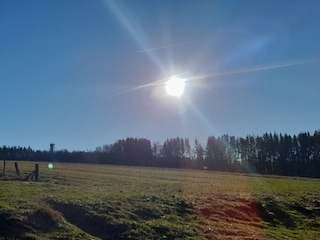 Der Solling