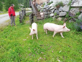 Apartamento de vacaciones Sankt Margarethen im Lungau Entorno 33