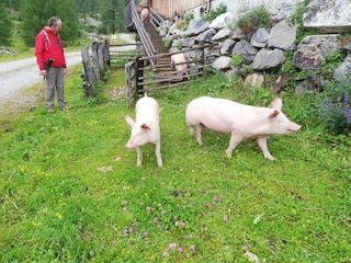 Vakantieappartement Sankt Margarethen im Lungau Omgeving 33