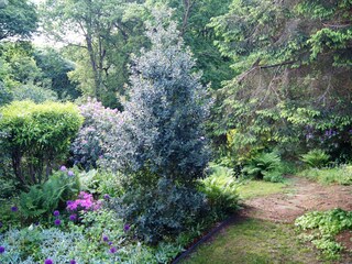 Villa Varengeville-sur-Mer Registrazione all'aperto 10