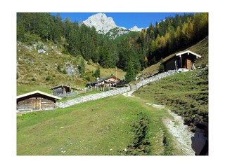 Steinalm in Saalfelden