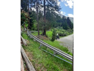 Rodelbahn im Sommer