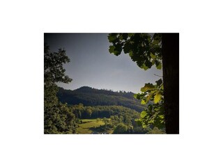 Ferienhaus Mürlenbach Umgebung 41