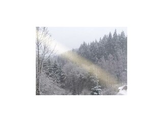 Holiday house Mürlenbach Environment 22