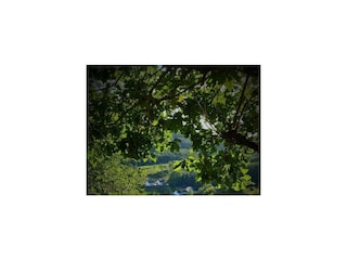 Ferienhaus Mürlenbach Umgebung 28