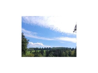 Ferienhaus Mürlenbach Umgebung 31