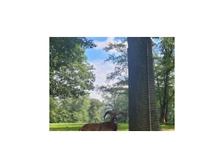 Ferienhaus Mürlenbach Umgebung 32