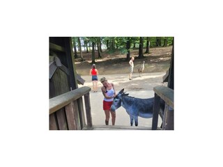 Holiday house Mürlenbach Environment 33