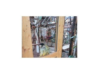 Holiday house Mürlenbach Environment 34