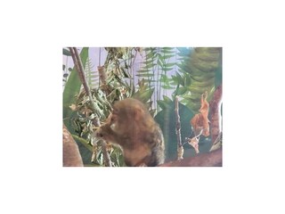 Ferienhaus Mürlenbach Umgebung 35