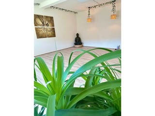 e6c2c7ce-a215-4809-ba4a-70354edf2310