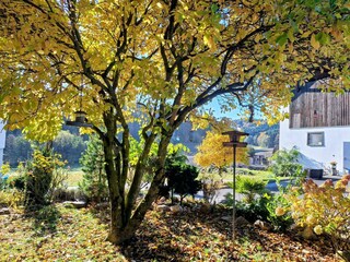 7b37d8c3-76e7-4fce-b2a4-6ac1f708eb7c