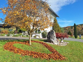 9c6b6230-868a-4dd2-82b5-245b7b6cd6ce