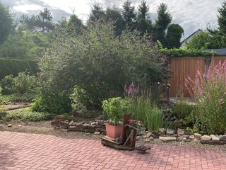 bfb50529-416d-47a6-869c-1ab9b3894ffa