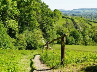 eaf073d7-b38a-483b-9925-7912b7a8d2cb