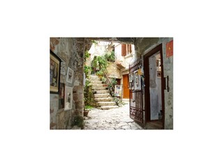 Parque de vacaciones Rovinj Entorno 17