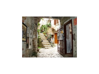 Parco vacanze Rovinj Ambiente 22