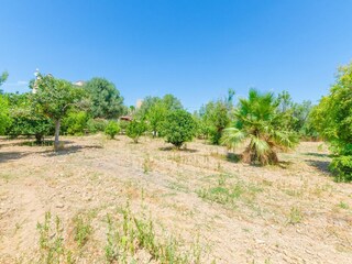 Villa Porreres Outdoor Recording 29