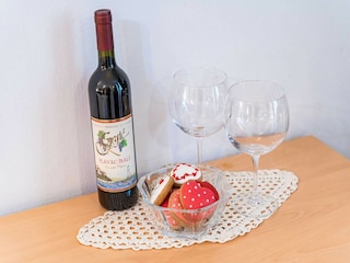 Apartment Dubrovnik  14