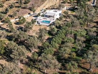 Die Oase im Olivenhain