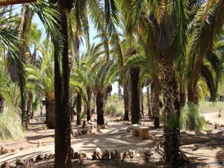 Villa Ses Salines Umgebung 6