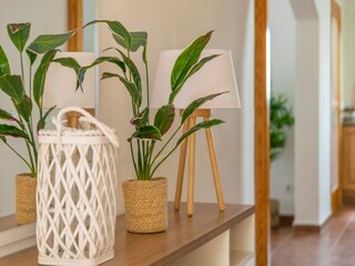 Vakantiehuis Valldemossa  30