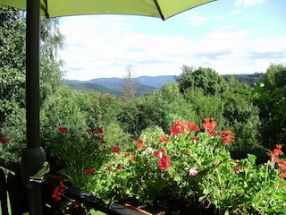 Chalet Hommert Außenaufnahme 7