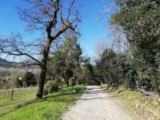 Holiday cottage San Macario Environment 26