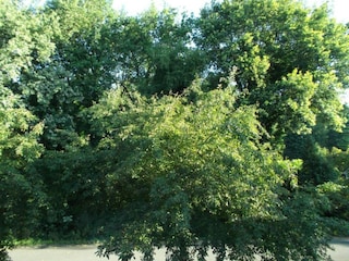 Parco vacanze Viroinval Ambiente 38