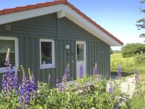 Ferienhaus Marina Hülsen - Skipper-Lodge Ost - Kosel - image1