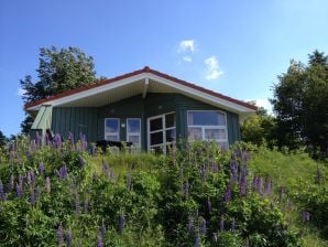 Ferienhaus Marina Hülsen - Skipper-Lodge Süd - Kosel - image1