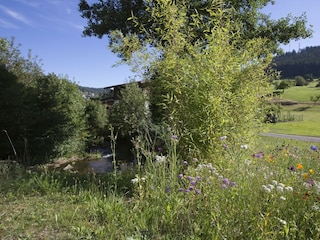 Natur Landhaus Mühlengrund