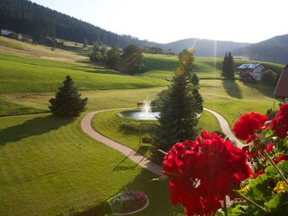 Ausblick Fewo Typ A Landhaus Mühlengrund