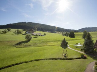 Ausblick und Teich Landhaus Mühlengrund
