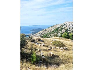 Auf dem Berg hinter dem Haus