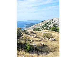 Holiday house Grebastica Environment 22