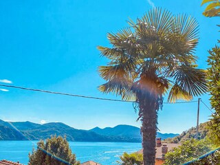 Großer, terrassierter Garten mit sonnigem, lauschigem Sitzplatz