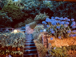 Wunderschöner Garten mit Palmen, Kamelien sowie Feigen- und Mandarinenbäumen