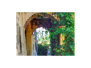 Ferienhaus Vignone Außenaufnahme 14