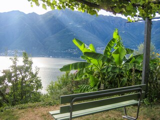 Ca. 3.000 m² großes Grundstück