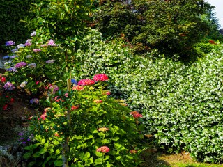 Liebevoll gestaltete Gartenbereiche