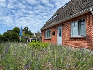 Ferienhaus St. Peter-Ording Außenaufnahme 19