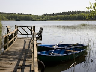 Cottage Tramm Environment 29