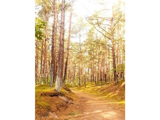 Casa per le vacanze Baabe Ambiente 21