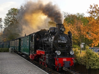 Rasende Roland in Baabe