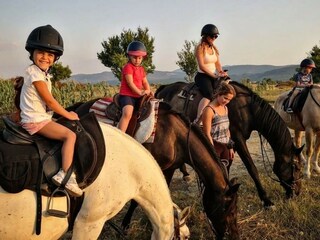 Reiten in Medvidovich Ranch