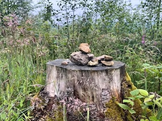 Vakantiehuis Steinheim in Westfalen Omgeving 24