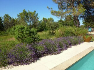 Villa Saint-Siffret Außenaufnahme 3