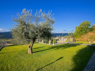 Ferienhaus Cortona Außenaufnahme 6