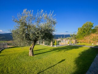 Maison de vacances Cortona Enregistrement extérieur 5